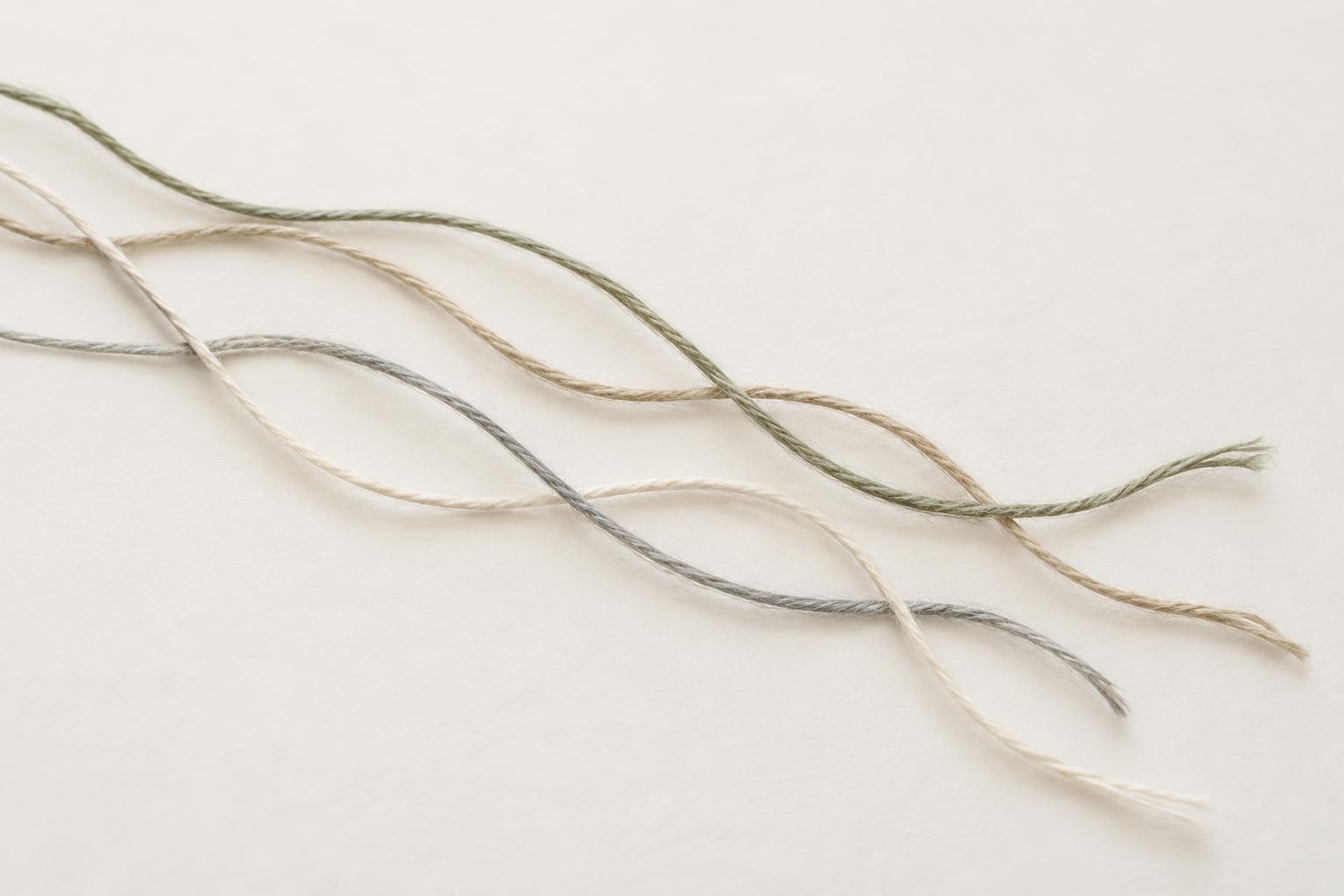 Threads gently traveling alongside one another